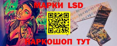 СК Дубна