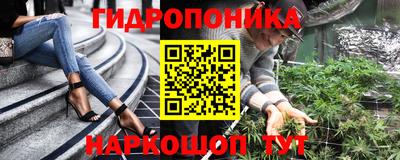 СК Дубна