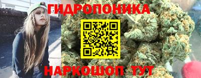 дурь Гусев