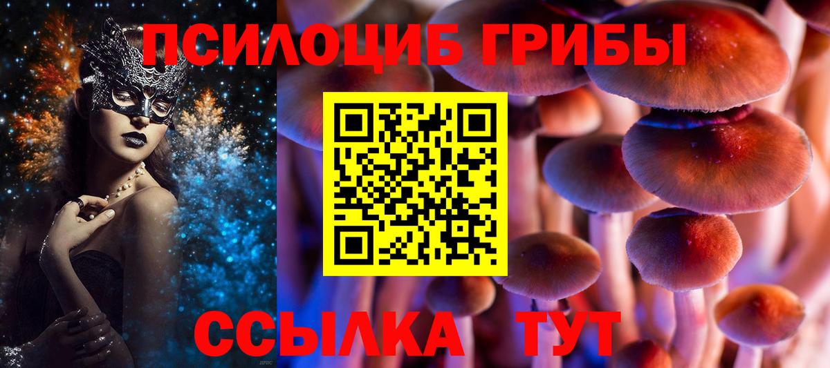 Мичуринск  Псилоцибиновые грибы GOLDEN TEACHER  Вход с VPN 