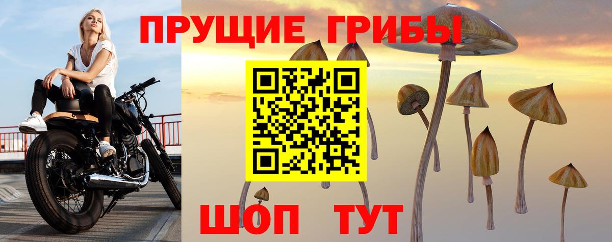 Галлюциногенные грибы MAGIC MUSHROOMS Мичуринск