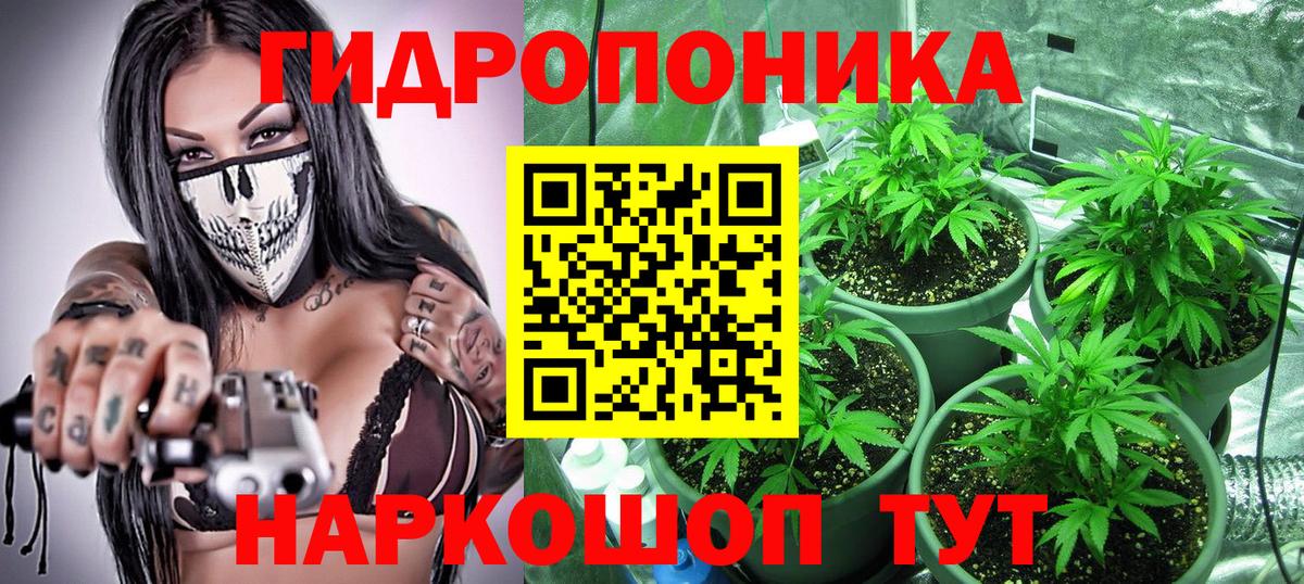 Шишки марихуана MAZAR  МАРИХУАНА конопля  Мичуринск  Канабис Amnesia  Вход с VPN 